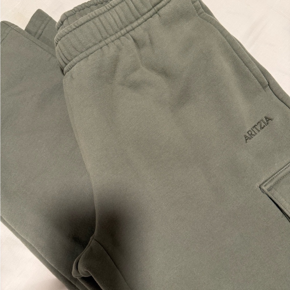 Aritzia Cozy Sweatfleece Mega Cargo Sweatpant